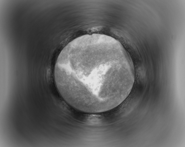 X0000096220222200802151529