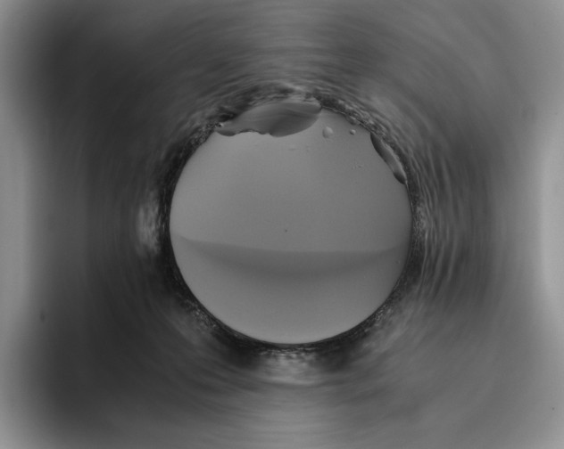 X0000096220223200802151529