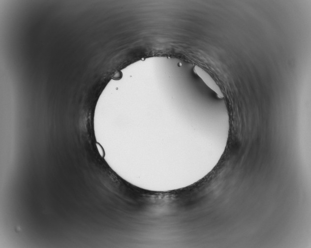 X0000096220225200802151528