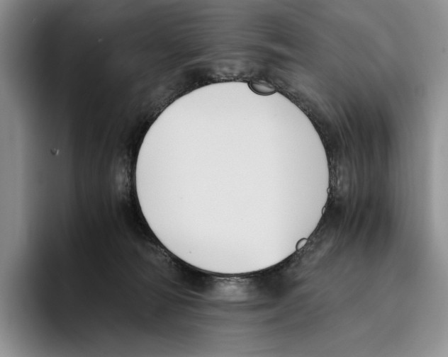 X0000096220226200802151528