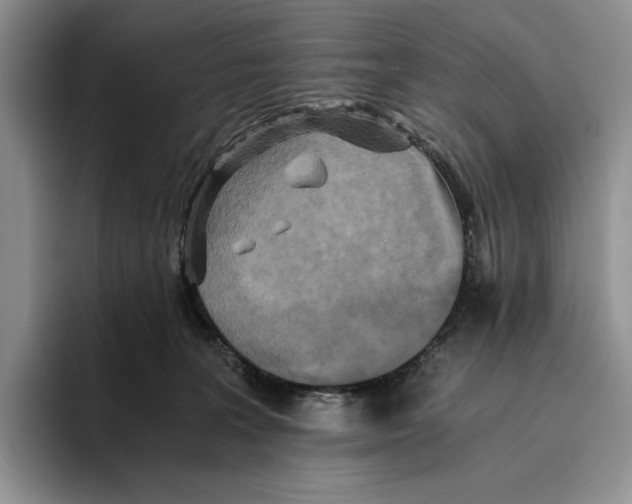 X0000096220227200802151528