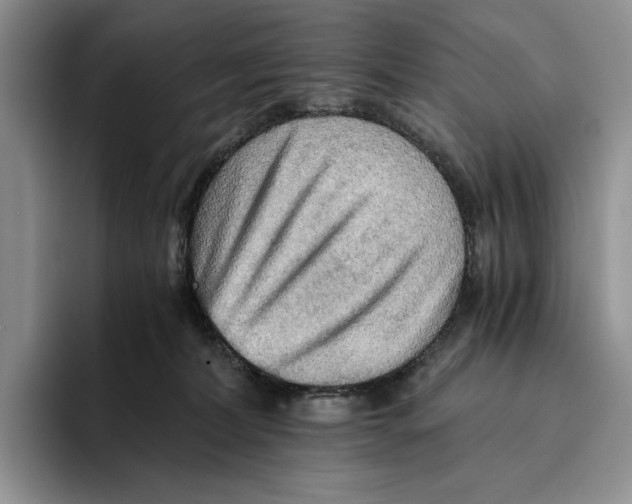 X0000096220228200802151528