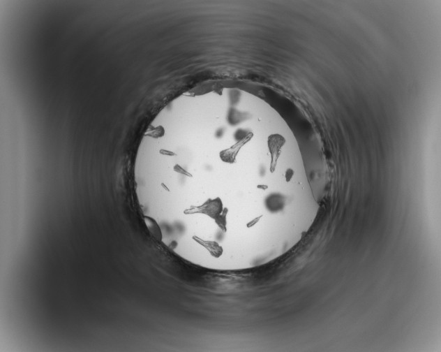 X0000096220229200802151528