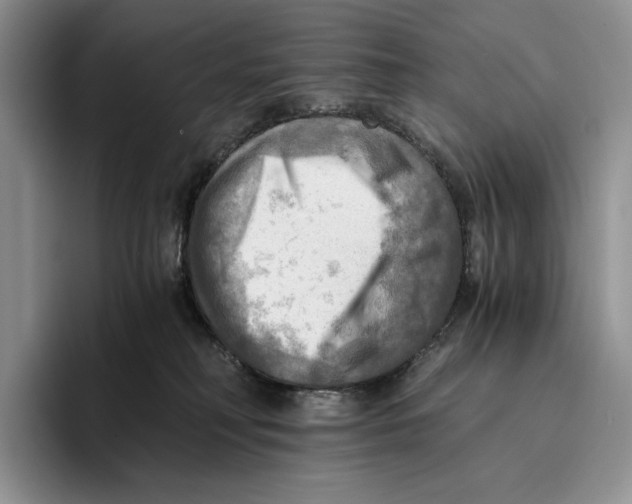 X0000096220230200802151528