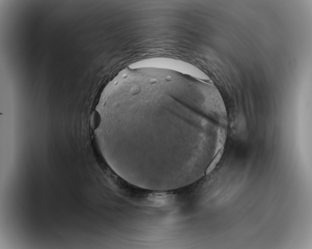 X0000096220231200802151528