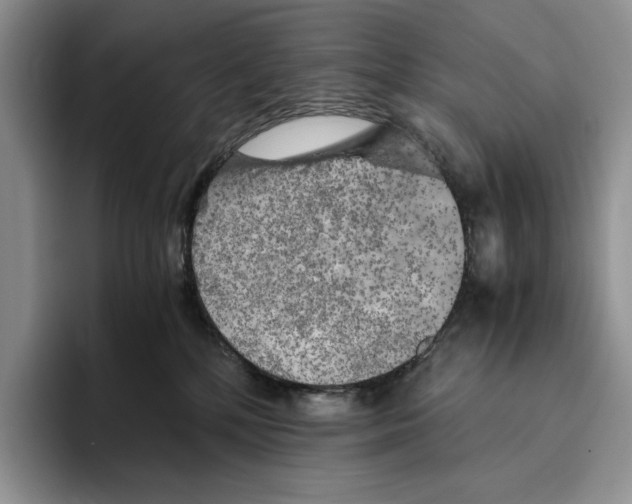 X0000096220232200802151528