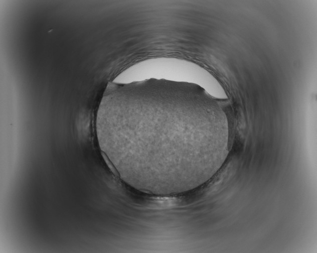 X0000096220233200802151528