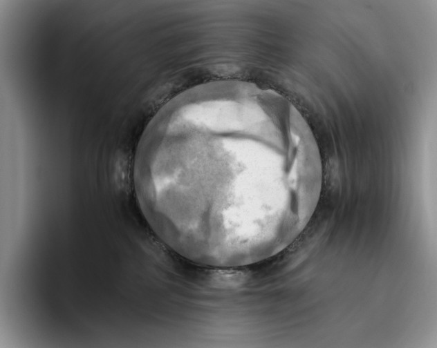 X0000096220234200802151528