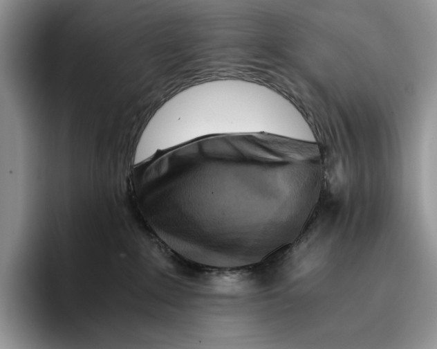 X0000096220235200802151528