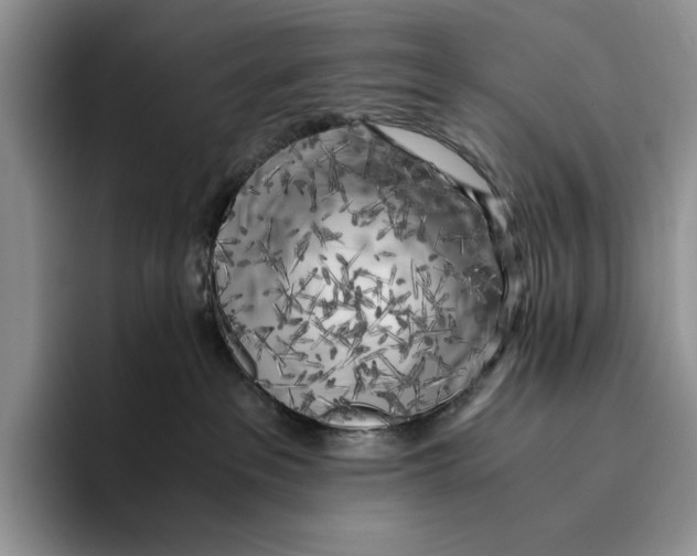X0000096220237200802151528