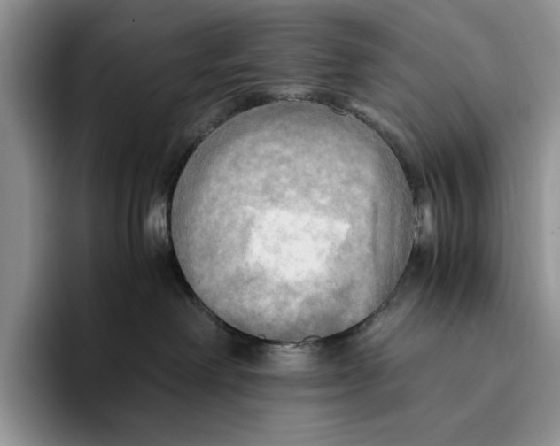 X0000096220238200802151528