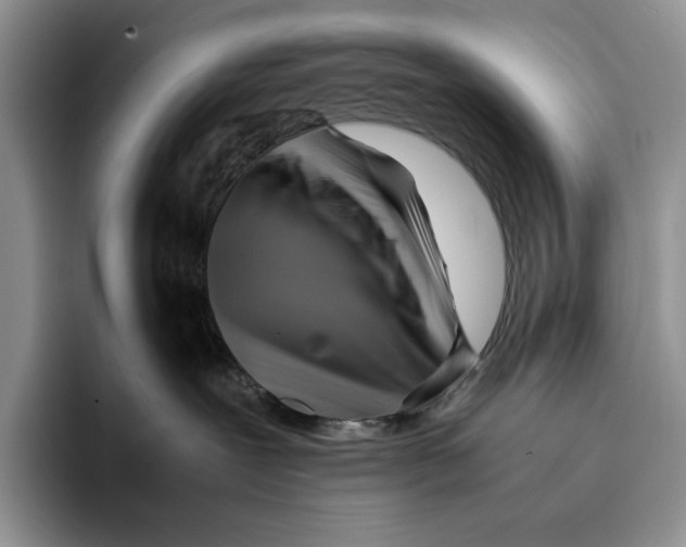 X0000096220239200802151528