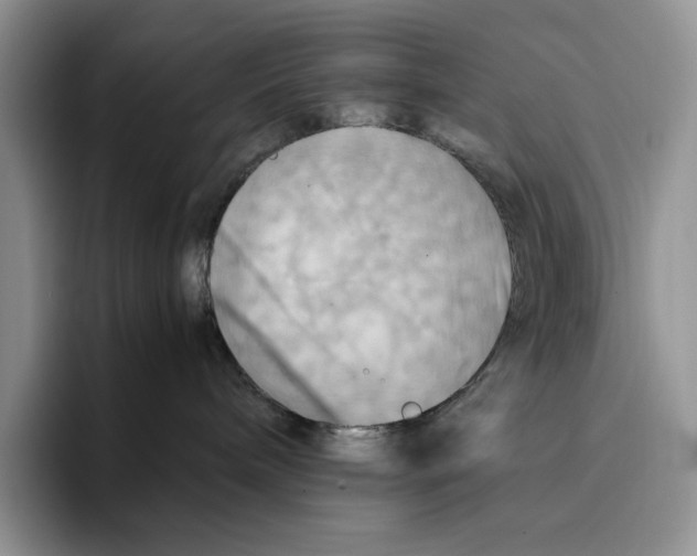 X0000096220240200802151528