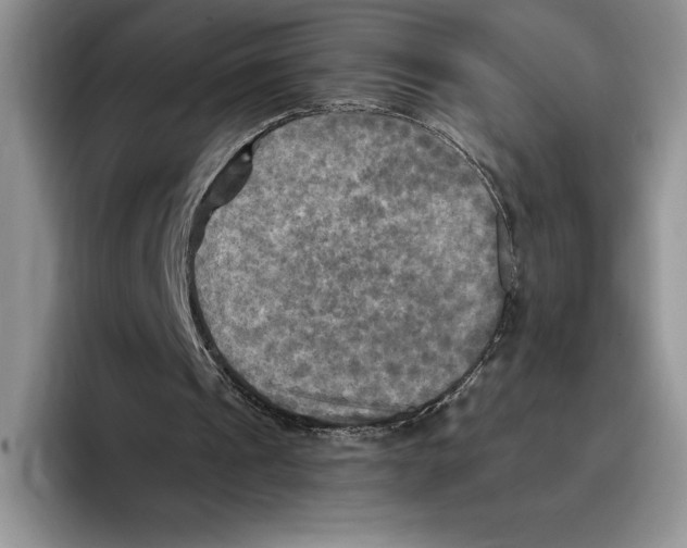 X0000096220241200802151528