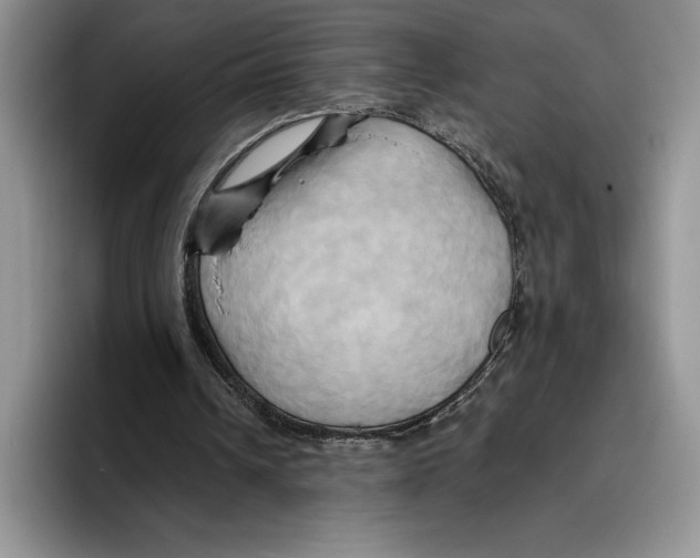 X0000096220242200802151528