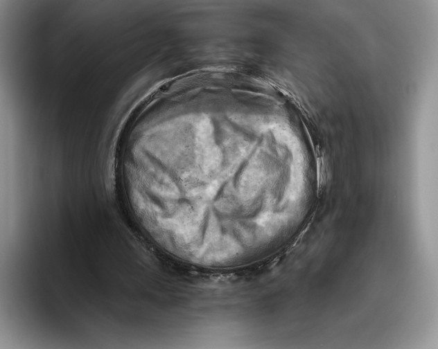 X0000096220243200802151528