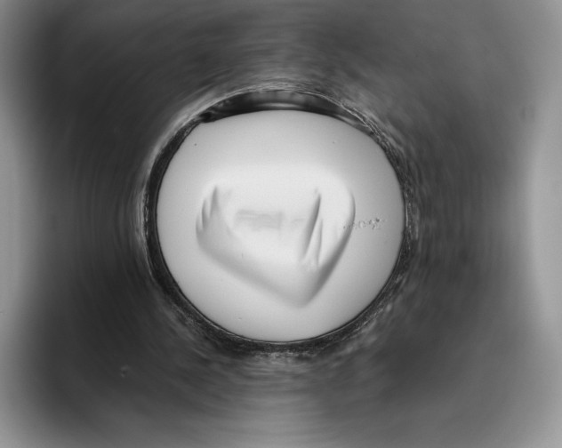 X0000096220244200802151528