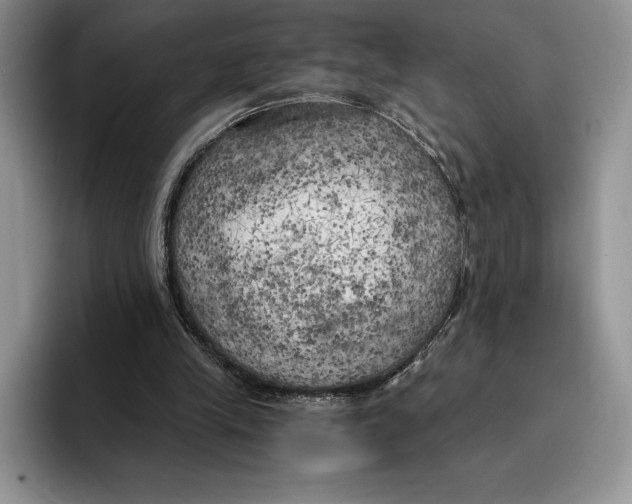 X0000096220245200802151528