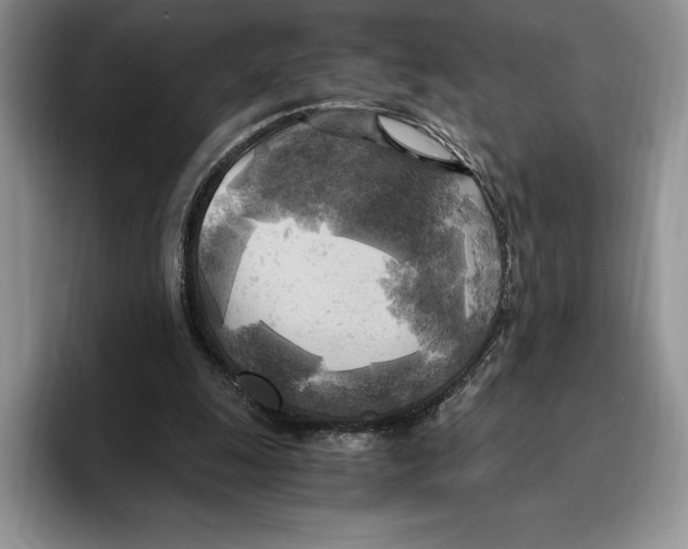 X0000096220247200802151528