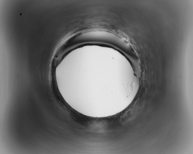 X0000096220248200802151528