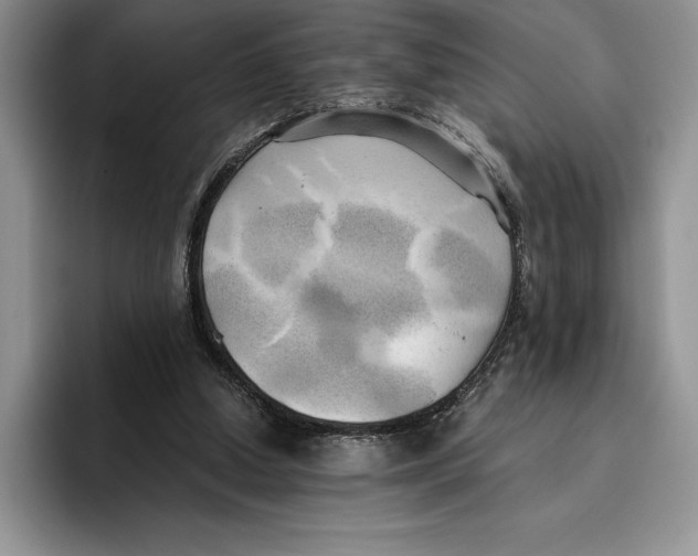 X0000096220250200802151528