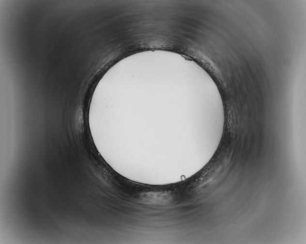 X0000096220251200802151528