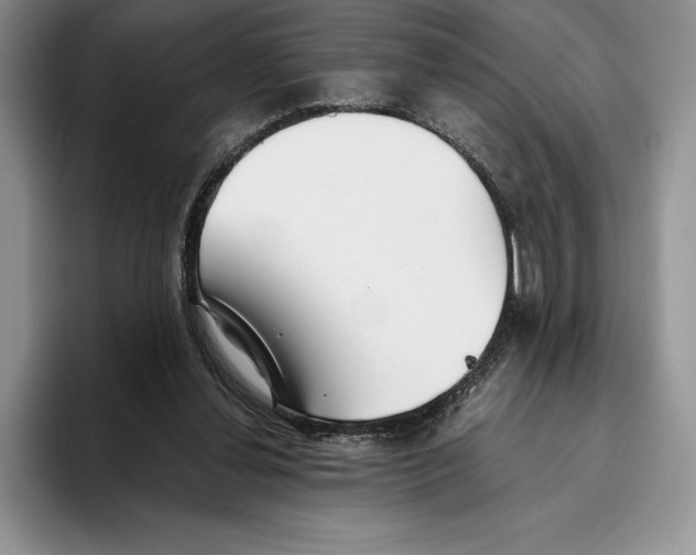 X0000096220252200802151528