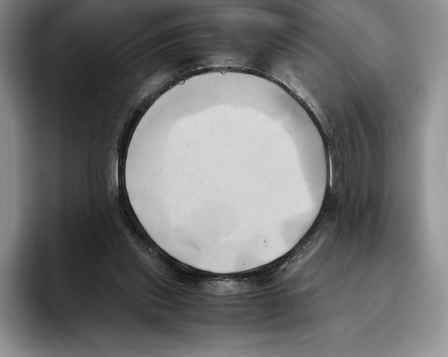 X0000096220253200802151528