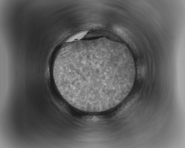 X0000096220254200802151528