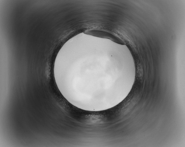 X0000096220255200802151528