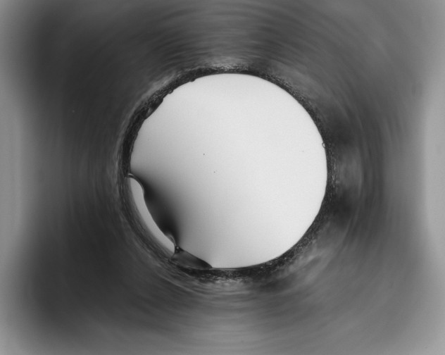 X0000096220256200802151528