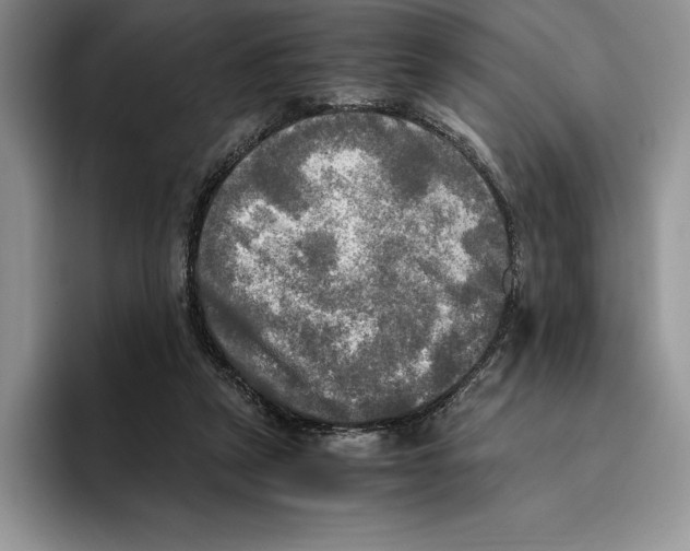 X0000096220257200802151528