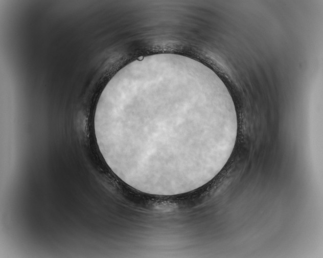 X0000096220258200802151528