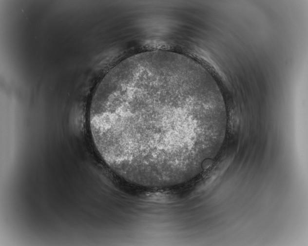 X0000096220259200802151528