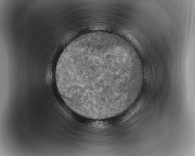 X0000096220261200802151528