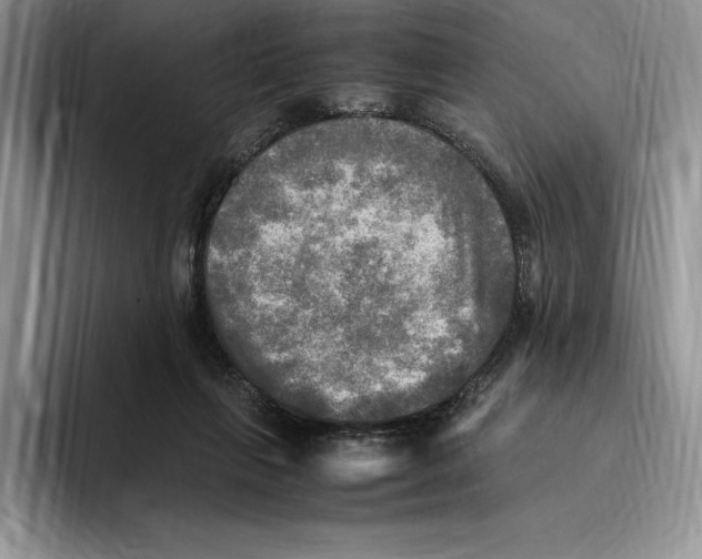 X0000096220263200802151528