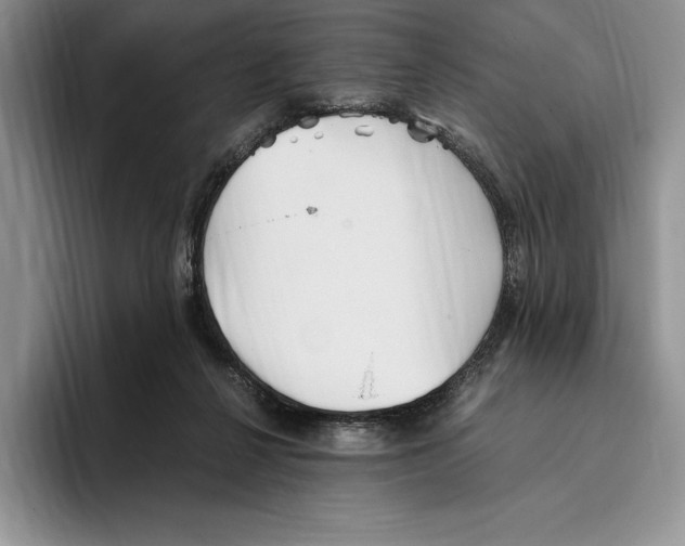 X0000096220264200802151528