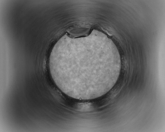 X0000096220266200802151528