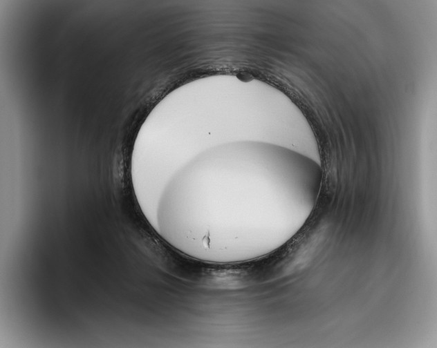 X0000096220268200802151528