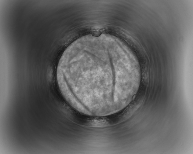 X0000096220270200802151528