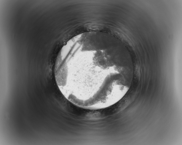 X0000096220271200802151528