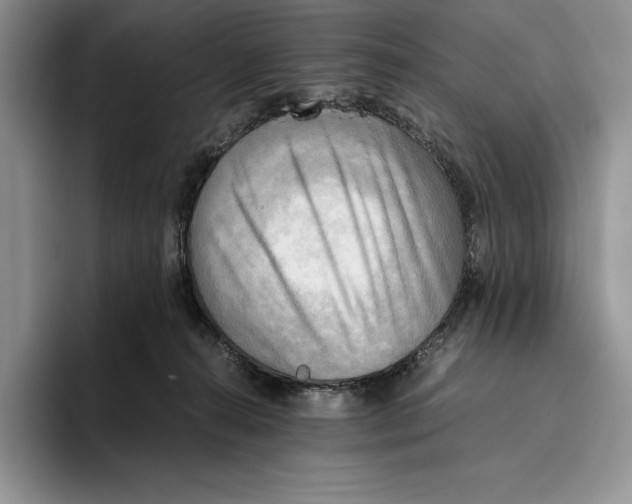 X0000096220272200802151528