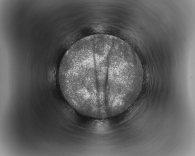 X0000096220275200802151528