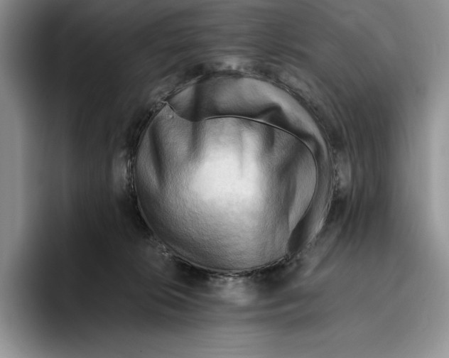 X0000096220276200802151528