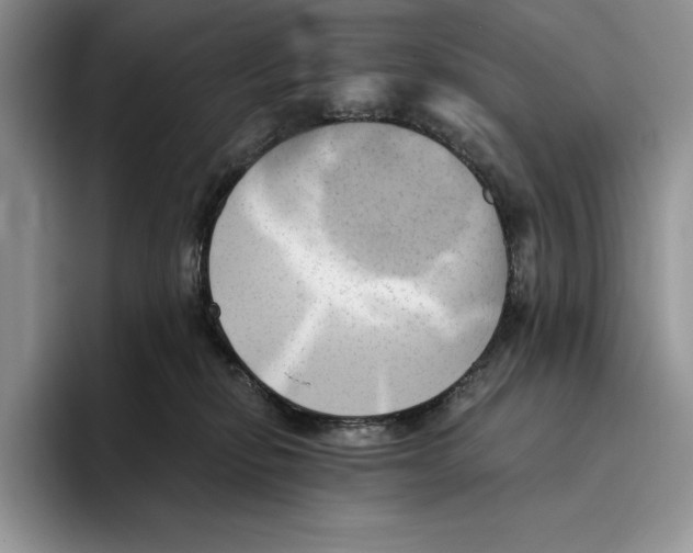 X0000096220278200802151528