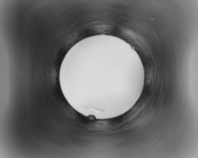 X0000096220279200802151528