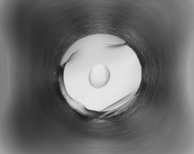 X0000096220280200802151528