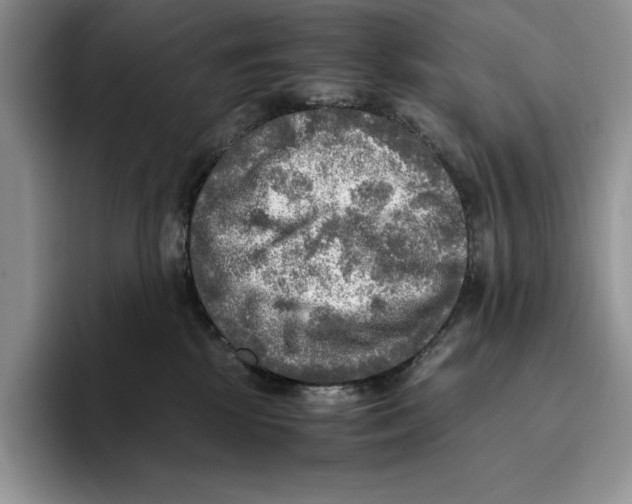 X0000096220281200802151528