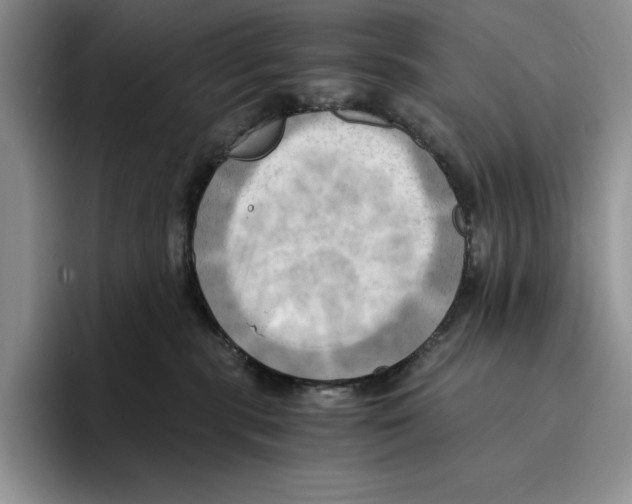 X0000096220283200802151528