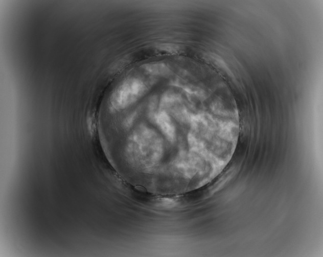 X0000096220285200802151528